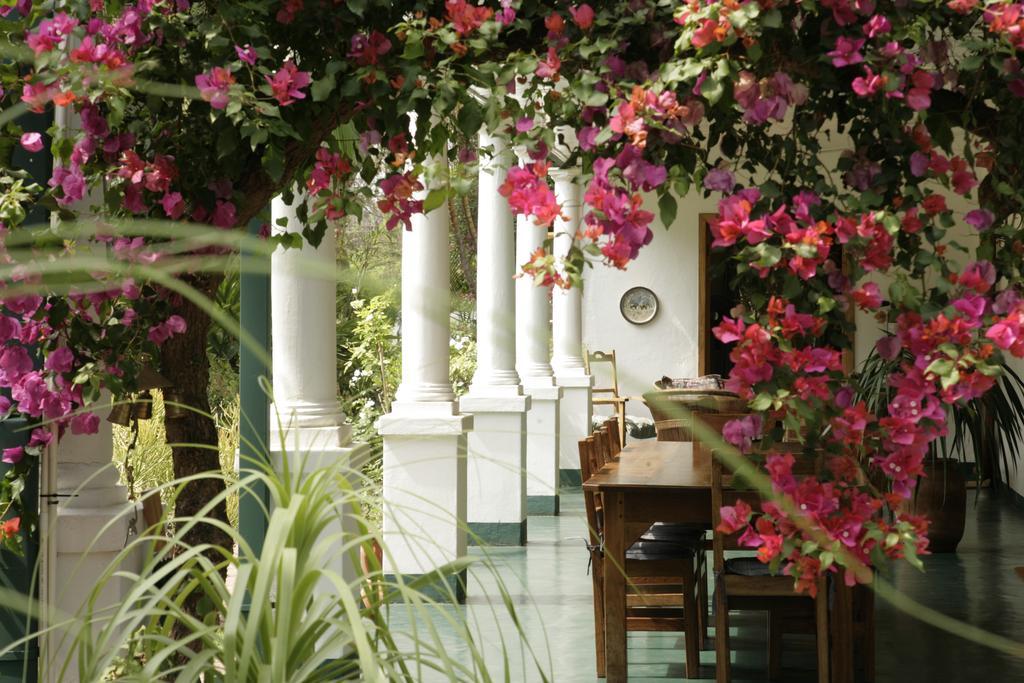 York Lodge Harare Ngoại thất bức ảnh