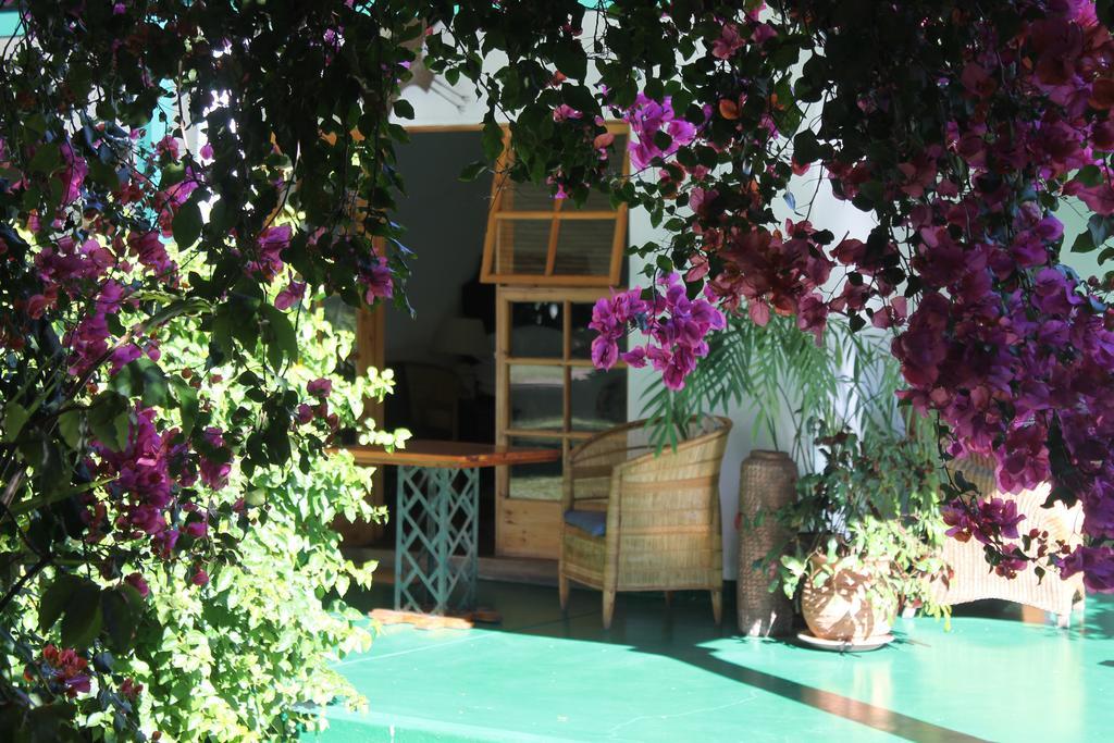 York Lodge Harare Ngoại thất bức ảnh