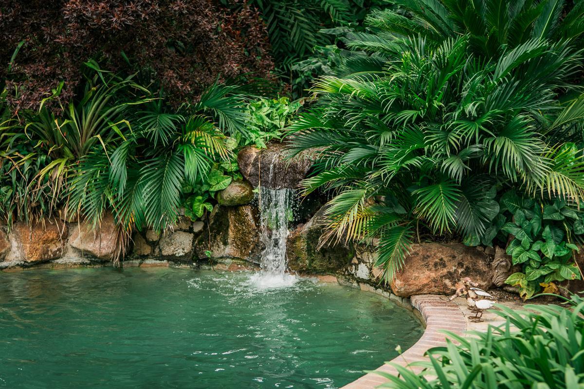 York Lodge Harare Ngoại thất bức ảnh